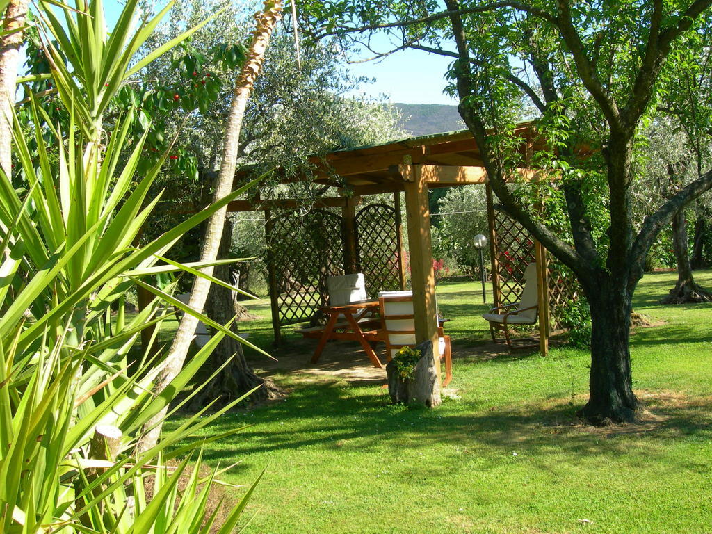 Gli Olivi Βίλα Calci Εξωτερικό φωτογραφία